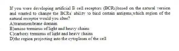 If you were developing artificial B-cell receptors (BCRs)based on the natural version and wanted to change the BCRs' ability to bind certain antigens,which region of the natural receptor would you alter?
A)transmembrane domain
B)amino terminus of light and heavy chains
C)carboxy terminus of light and heavy chains
D)the region projecting into the cytoplasm of the cell