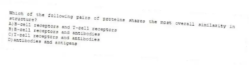 Which of the following pairs of proteins shares the most overall similarity in structure?
A)B-cell receptors and T-cell receptors
B)B-cell receptors and antibodies
C)T-cell receptors and antibodies
D)antibodies and antigens