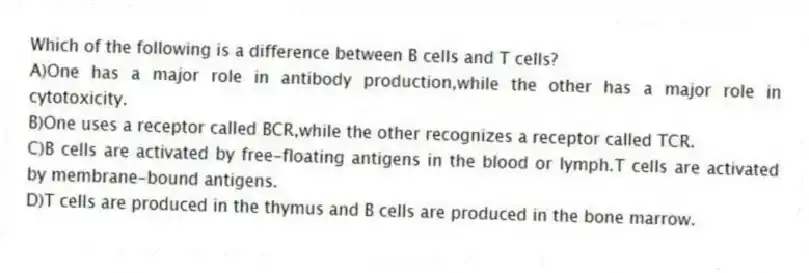 Which of the following is a difference between B cells and T cells?
A)One has a major role in antibody production,while the other has a major role in cytotoxicity.
B)One uses a receptor called BCR,while the other recognizes a receptor called TCR.
C)B cells are activated by free-floating antigens in the blood or lymph.T cells are activated by membrane-bound antigens.
D)T cells are produced in the thymus and B cells are produced in the bone marrow.