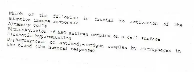 Which of the following is crucial to activation of the adaptive immune response?
A)memory cells
B)presentation of MHC-antigen complex on a cell surface
C)somatic hypermutation
D)phagocytosis of antibody-antigen complex by macrophages in the blood (the humoral response)