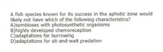 A fish species known for its success in the aphotic zone would likely not have which of the following characteristics?
A)symbioses with photosynthetic organisms
B)highly developed chemoreception
C)adaptations for burrowing
D)adaptations for sit-and-wait predation