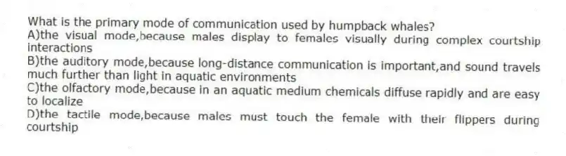 What is the primary mode of communication used by humpback whales?
A)the visual mode,because males display to females visually during complex courtship interactions
B)the auditory mode,because long-distance communication is important,and sound travels much further than light in aquatic environments
C)the olfactory mode,because in an aquatic medium chemicals diffuse rapidly and are easy to localize
D)the tactile mode,because males must touch the female with their flippers during courtship