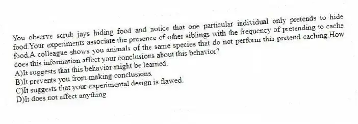 You observe scrub jays hiding food and notice that one particular individual only pretends to hide food.Your experiments associate the presence of other siblings with the frequency of pretending to cache food.A colleague shows you animals of the same species that do not perform this pretend caching.How does this information affect your conclusions about this behavior?
A)It suggests that this behavior might be learned.
B)It prevents you from making conclusions.
C)It suggests that your experimental design is flawed.
D)It does not affect anything.