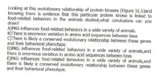 Looking at this evolutionary relationship of protein kinases (Figure 51.6)and knowing there is evidence that this particular protein kinase is linked to food-related behaviors in the animals studied,what conclusions can you draw?
A)PKG influences food-related behaviors in a wide variety of animals.
B)There is enormous variation in amino acid sequences between taxa.
C)There is likely a conserved evolutionary relationship between these genes and their behavioral phenotype.
D)PKG influences food-related behaviors in a wide variety of animals,and there is enormous variation in amino acid sequences between taxa.
E)PKG influences food-related behaviors in a wide variety of animals,and there is likely a conserved evolutionary relationship between these genes and their behavioral phenotype.