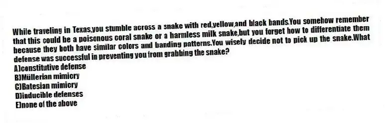 While traveling in Texas,you stumble across a snake with red,yellow,and black bands.You somehow remember that this could be a poisonous coral snake or a harmless milk snake,but you forget how to differentiate them because they both have similar colors and banding patterns.You wisely decide not to pick up the snake.What defense was successful in preventing you from grabbing the snake?
A)constitutive defense
B)Müllerian mimicry
C)Batesian mimicry
D)inducible defenses
E)none of the above