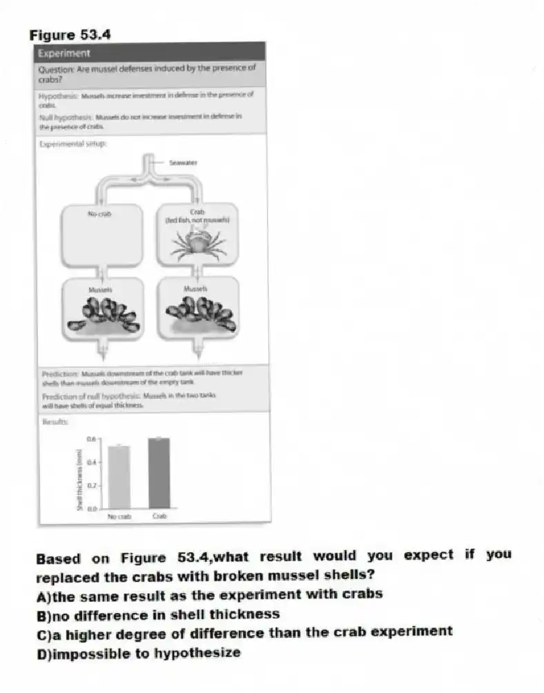 Figure 53.4
-Based on Figure 53.4,what result would you expect if you replaced the crabs with broken mussel shells?
A)the same result as the experiment with crabs
B)no difference in shell thickness
C)a higher degree of difference than the crab experiment
D)impossible to hypothesize