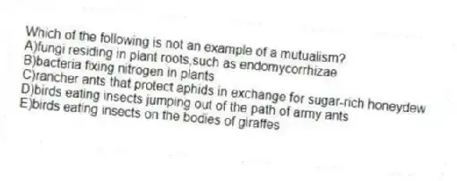 Which of the following is not an example of a mutualism?
A)fungi residing in plant roots,such as endomycorrhizae
B)bacteria fixing nitrogen in plants
C)rancher ants that protect aphids in exchange for sugar-rich honeydew
D)birds eating insects jumping out of the path of army ants
E)birds eating insects on the bodies of giraffes