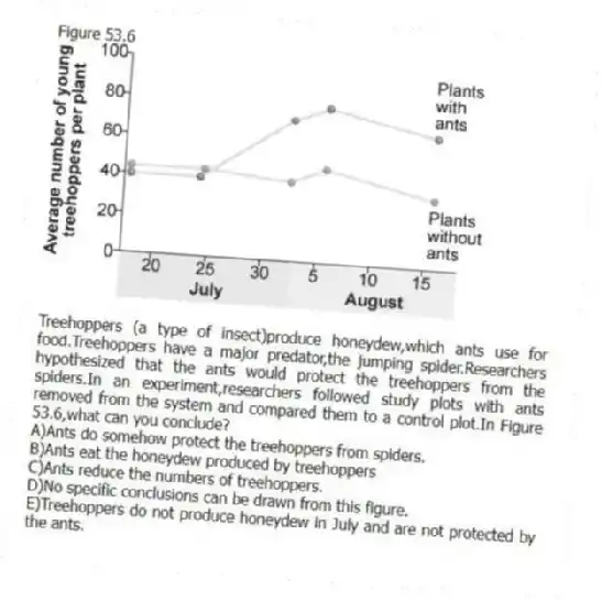 Figure 53.6
-Treehoppers (a type of insect)produce honeydew,which ants use for food.Treehoppers have a major predator,the jumping spider.Researchers hypothesized that the ants would protect the treehoppers from the spiders.In an experiment,researchers followed study plots with ants removed from the system and compared them to a control plot.In Figure 53.6,what can you conclude?
A)Ants do somehow protect the treehoppers from spiders.
B)Ants eat the honeydew produced by treehoppers
C)Ants reduce the numbers of treehoppers.
D)No specific conclusions can be drawn from this figure.
E)Treehoppers do not produce honeydew in July and are not protected by the ants.