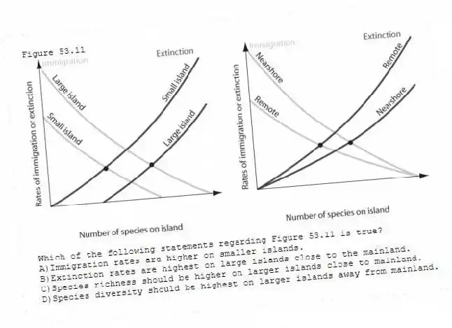 Figure 53.11
-Which of the following statements regarding Figure 53.11 is true?
A)Immigration rates are higher on smaller islands.
B)Extinction rates are highest on large islands close to the mainland.
C)Species richness should be higher on larger islands close to mainland.
D)Species diversity should be highest on larger islands away from mainland.