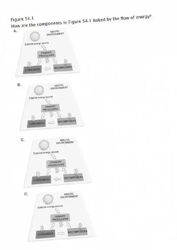 Figure 54.1
-How are the components in Figure 54.1 linked by the flow of energy?