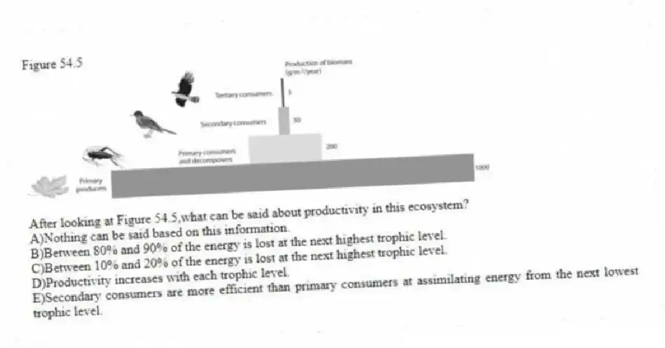 Figure 54.5
-After looking at Figure 54.5,what can be said about productivity in this ecosystem?
A)Nothing can be said based on this information.
B)Between 80% and 90% of the energy is lost at the next highest trophic level.
C)Between 10% and 20% of the energy is lost at the next highest trophic level.
D)Productivity increases with each trophic level.
E)Secondary consumers are more efficient than primary consumers at assimilating energy from the next lowest trophic level.