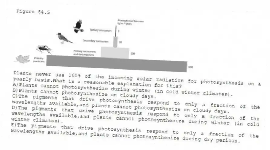 Figure 54.5
-Plants never use 100% of the incoming solar radiation for photosynthesis on a yearly basis.What is a reasonable explanation for this?
A)Plants cannot photosynthesize during winter (in cold winter climates).
B)Plants cannot photosynthesize on cloudy days.
C)The pigments that drive photosynthesis respond to only a fraction of the wavelengths available,and plants cannot photosynthesize on cloudy days.
D)The pigments that drive photosynthesis respond to only a fraction of the wavelengths available,and plants cannot photosynthesize during winter (in cold winter climates).
E)The pigments that drive photosynthesis respond to only a fraction of the wavelengths available,and plants cannot photosynthesize during dry periods.