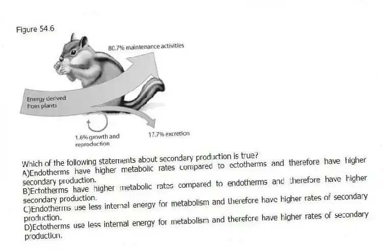 Figure 54.6
-Which of the following statements about secondary production is true?
A)Endotherms have higher metabolic rates compared to ectotherms and therefore have higher secondary production.
B)Ectotherms have higher metabolic rates compared to endotherms and therefore have higher secondary production.
C)Endotherms use less internal energy for metabolism and therefore have higher rates of secondary production.
D)Ectotherms use less internal energy for metabolism and therefore have higher rates of secondary production.
