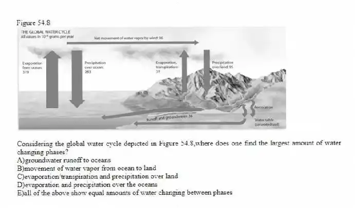 Figure 54.8
-Considering the global water cycle depicted in Figure 54.8,where does one find the largest amount of water changing phases?
A)groundwater runoff to oceans
B)movement of water vapor from ocean to land
C)evaporation/transpiration and precipitation over land
D)evaporation and precipitation over the oceans
E)all of the above show equal amounts of water changing between phases