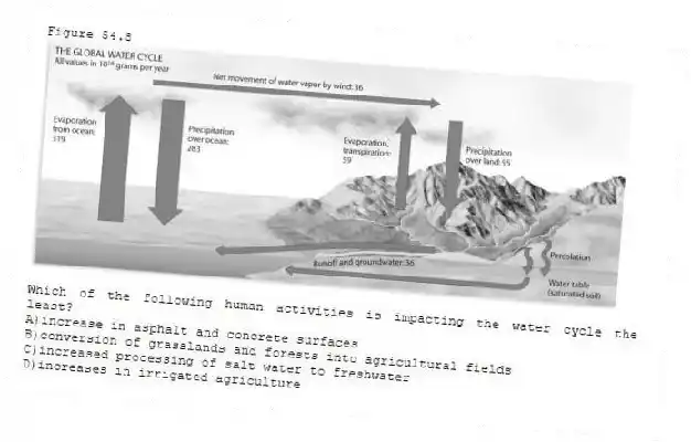 Figure 54.8
-Which of the following human activities is impacting the water cycle the least?
A)increase in asphalt and concrete surfaces
B)conversion of grasslands and forests into agricultural fields
C)increased processing of salt water to freshwater
D)increases in irrigated agriculture