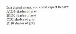 In a digital image, you could expect to have:
A)256 shades of gray
B)100 shades of gray
C)32 shades of gray
D)10 shades of gray