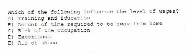 Which of the following influence the level of wages?
A) Training and Education
B) Amount of time required to be away from home
C) Risk of the occupation
D) Experience
E) All of these