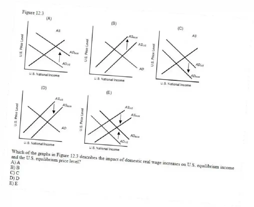 Figure 12.3
-Which of the graphs in Figure 12.3 describes the impact of domestic real wage increases on U.S. equilibrium income and the U.S. equilibrium price level?
A) A
B) B
C) C
D) D
E) E