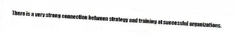 There is a very strong connection between strategy and training at successful organizations.