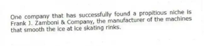 One company that has successfully found a propitious niche is Frank J. Zamboni & Company, the manufacturer of the machines that smooth the ice at ice skating rinks.