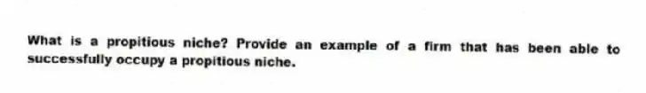 What is a propitious niche? Provide an example of a firm that has been able to successfully occupy a propitious niche.