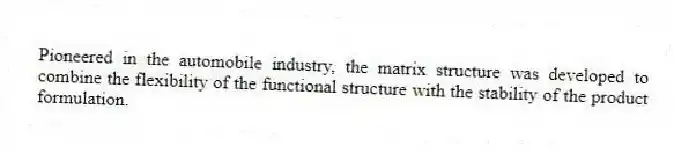 Pioneered in the automobile industry, the matrix structure was developed to combine the flexibility of the functional structure with the stability of the product formulation.
