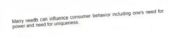 Many needs can influence consumer behavior including one's need for power and need for uniqueness.