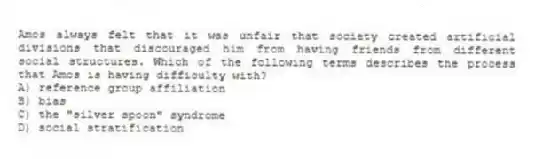 Amos always felt that it was unfair that society created artificial divisions that discouraged him from having friends from different social structures. Which of the following terms describes the process that Amos is having difficulty with?
A) reference group affiliation
B) bias
C) the "silver spoon" syndrome
D) social stratification