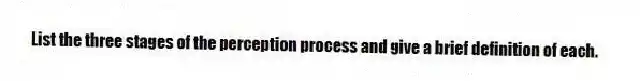 List the three stages of the perception process and give a brief definition of each.