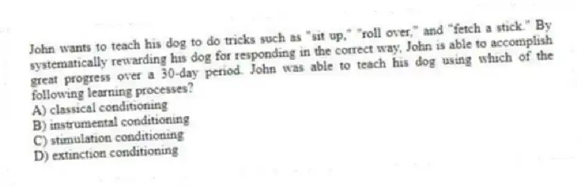 John wants to teach his dog to do tricks such as "sit up," "roll over," and "fetch a stick." By systematically rewarding his dog for responding in the correct way, John is able to accomplish great progress over a 30-day period. John was able to teach his dog using which of the following learning processes?
A) classical conditioning
B) instrumental conditioning
C) stimulation conditioning
D) extinction conditioning
