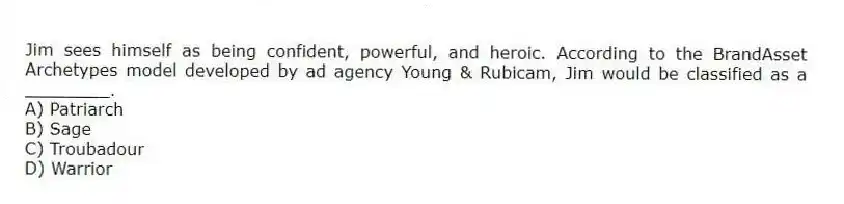 Jim sees himself as being confident, powerful, and heroic. According to the BrandAsset Archetypes model developed by ad agency Young & Rubicam, Jim would be classified as a ________.
A) Patriarch
B) Sage
C) Troubadour
D) Warrior