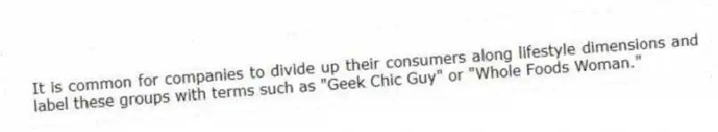 It is common for companies to divide up their consumers along lifestyle dimensions and label these groups with terms such as "Geek Chic Guy" or "Whole Foods Woman."