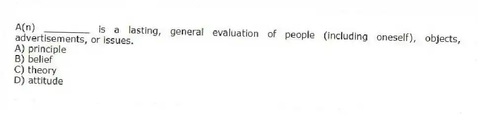 A(n) ________ is a lasting, general evaluation of people (including oneself), objects, advertisements, or issues.
A) principle
B) belief
C) theory
D) attitude