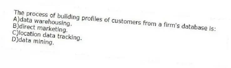 The process of building profiles of customers from a firm's database is:
A)data warehousing.
B)direct marketing.
C)location data tracking.
D)data mining.