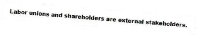 Labor unions and shareholders are external stakeholders.