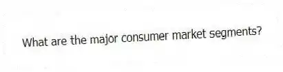 What are the major consumer market segments?