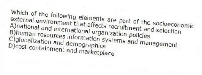 Which of the following elements are part of the socioeconomic external environment that affects recruitment and selection
A)national and international organization policies
B)human resources information systems and management
C)globalization and demographics
D)cost containment and marketplace