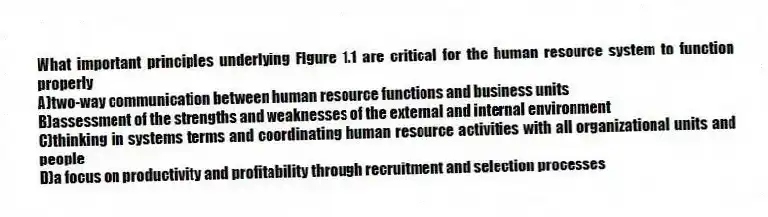 What important principles underlying Figure 1.1 are critical for the human resource system to function properly
A)two-way communication between human resource functions and business units
B)assessment of the strengths and weaknesses of the external and internal environment
C)thinking in systems terms and coordinating human resource activities with all organizational units and people
D)a focus on productivity and profitability through recruitment and selection processes