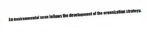 An environmental scan follows the development of the organization strategy.