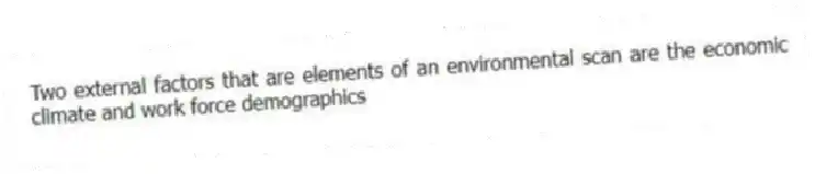 Two external factors that are elements of an environmental scan are the economic climate and work force demographics