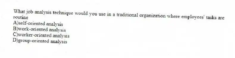 What job analysis technique would you use in a traditional organization where employees' tasks are routine
A)self-oriented analysis
B)work-oriented analysis
C)worker-oriented analysis
D)group-oriented analysis