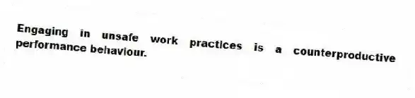 Engaging in unsafe work practices is a counterproductive performance behaviour.