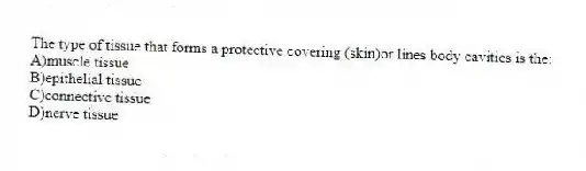 The type of tissue that forms a protective covering (skin)or lines body cavities is the:
A)muscle tissue
B)epithelial tissue
C)connective tissue
D)nerve tissue