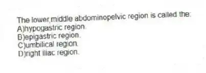 The lower,middle abdominopelvic region is called the:
A)hypogastric region.
B)epigastric region.
C)umbilical region.
D)right iliac region.