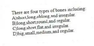 There are four types of bones including:
A)short,long,oblong,and irregular.
B)long,short,round,and regular.
C)long,short,flat,and irregular.
D)big,small,medium,and regular.