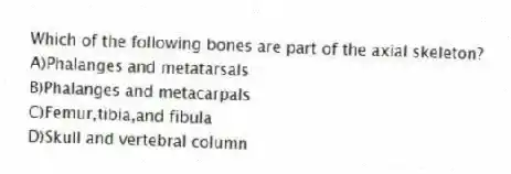 Which of the following bones are part of the axial skeleton?
A)Phalanges and metatarsals
B)Phalanges and metacarpals
C)Femur,tibia,and fibula
D)Skull and vertebral column