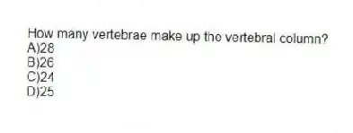 How many vertebrae make up the vertebral column?
A)28
B)26
C)24
D)25