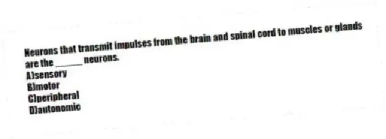 Neurons that transmit impulses from the brain and spinal cord to muscles or glands are the _____ neurons.
A)sensory
B)motor
C)peripheral
D)autonomic