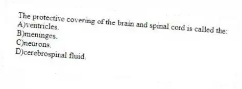 The protective covering of the brain and spinal cord is called the:
A)ventricles.
B)meninges.
C)neurons.
D)cerebrospinal fluid.