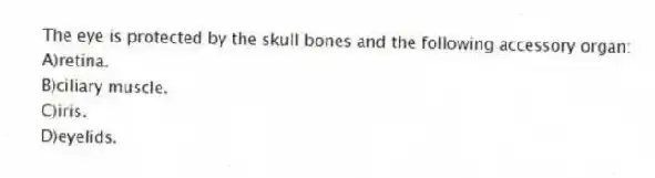 The eye is protected by the skull bones and the following accessory organ:
A)retina.
B)ciliary muscle.
C)iris.
D)eyelids.